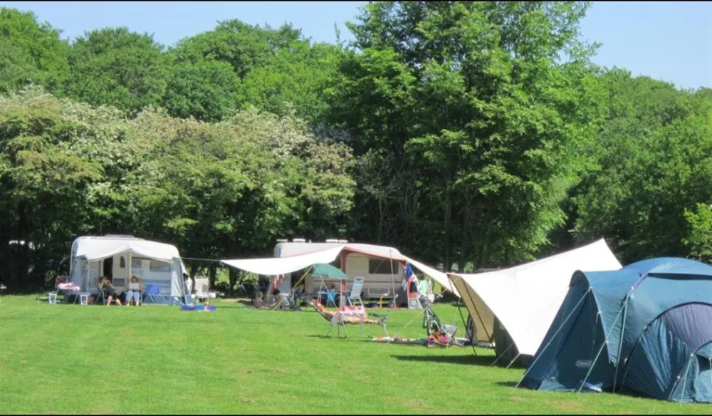 Camping Vogelenzang