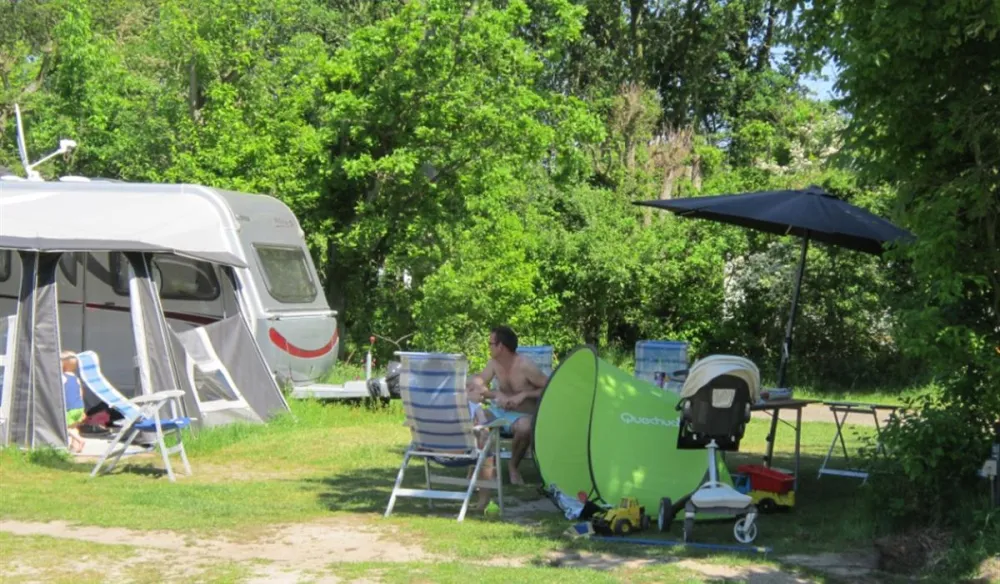 Camping Vogelenzang