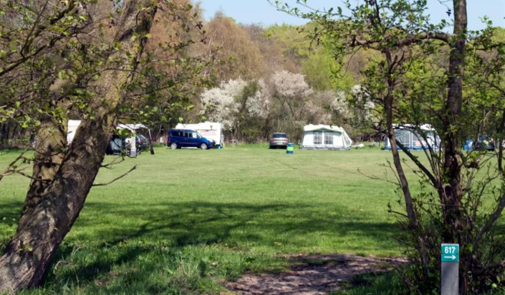 Camping Vogelenzang