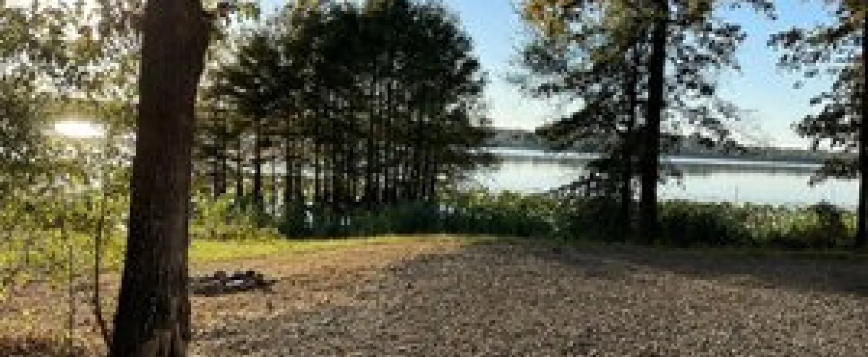 Finger Point Landing