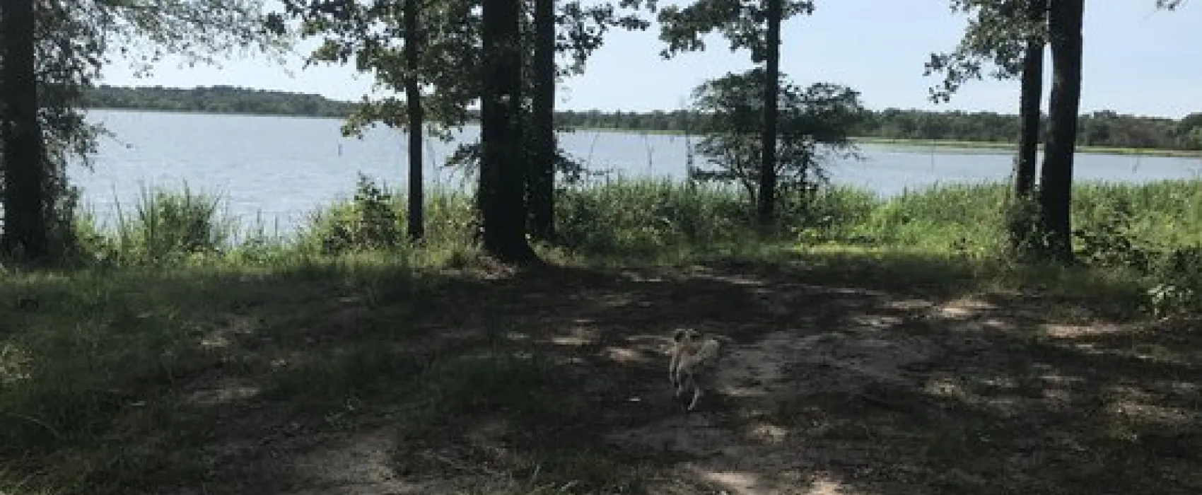 Finger Point Landing