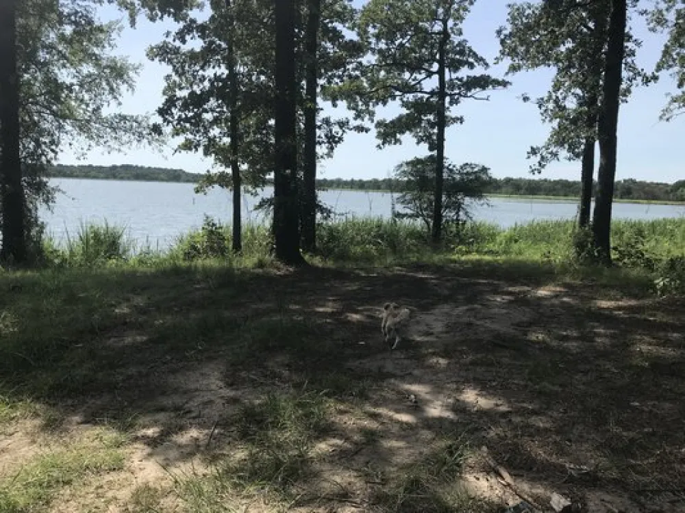 Finger Point Landing