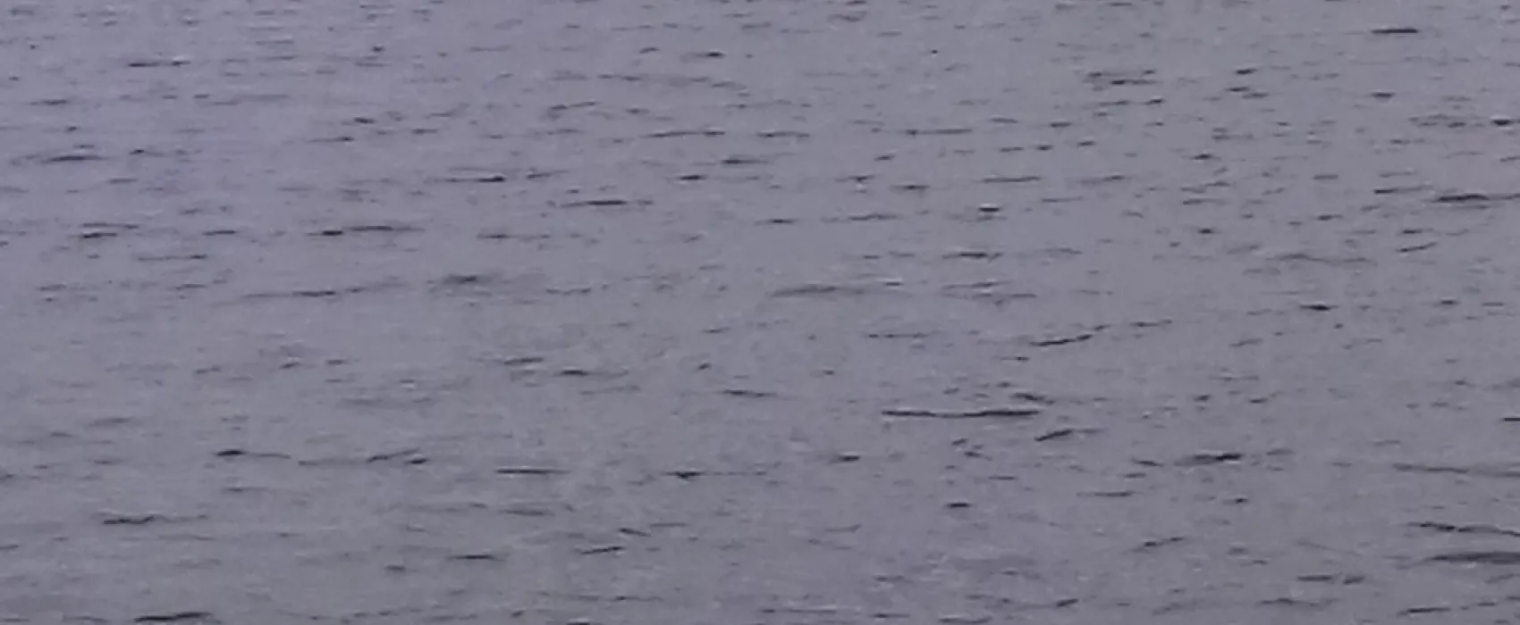 Camping Municipal Belle Vue  