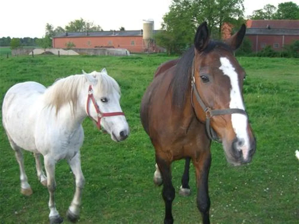 Ferienpark Westheide