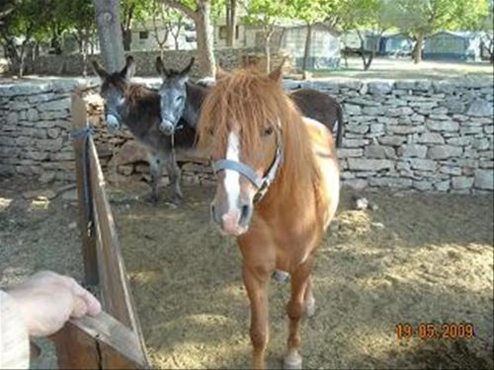 Camping la Valltorta