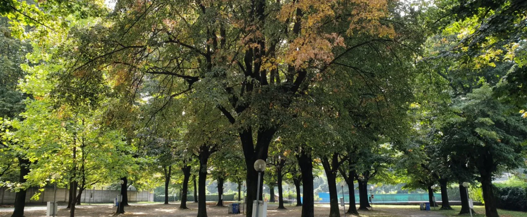 Campeggio Internazionale