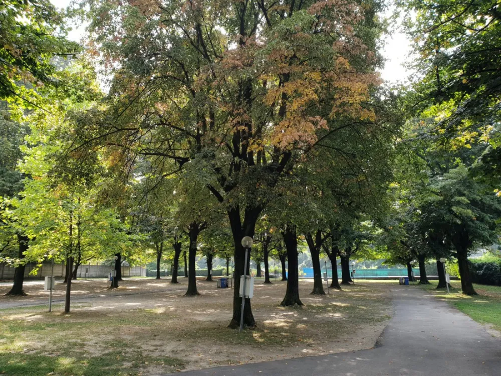 Campeggio Internazionale