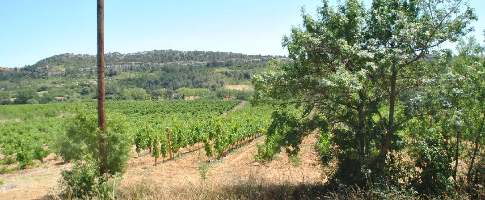 Camping Les Terrasses