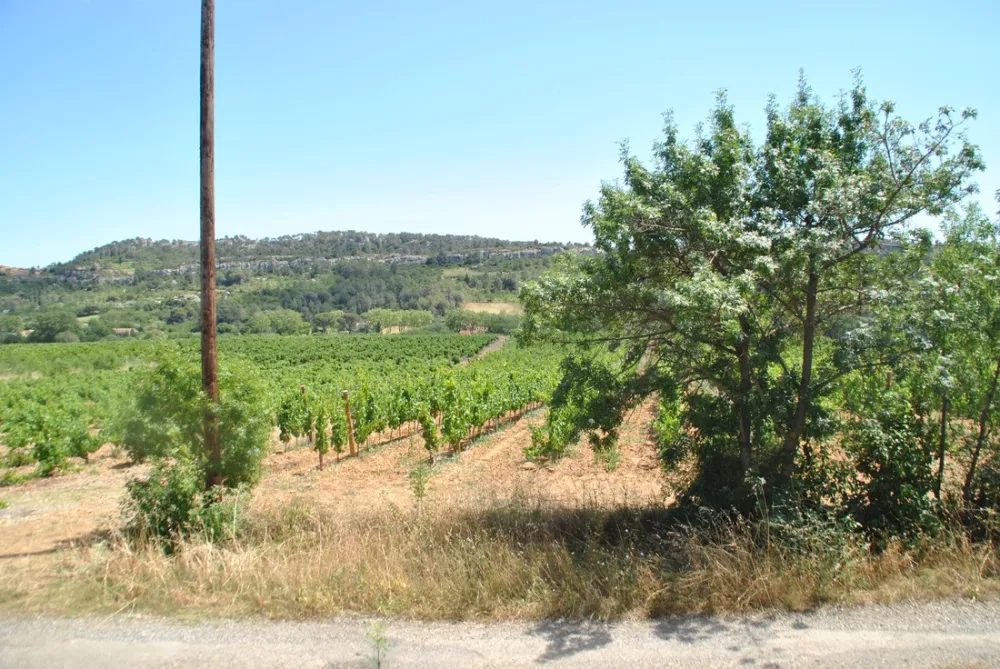 Camping Les Terrasses