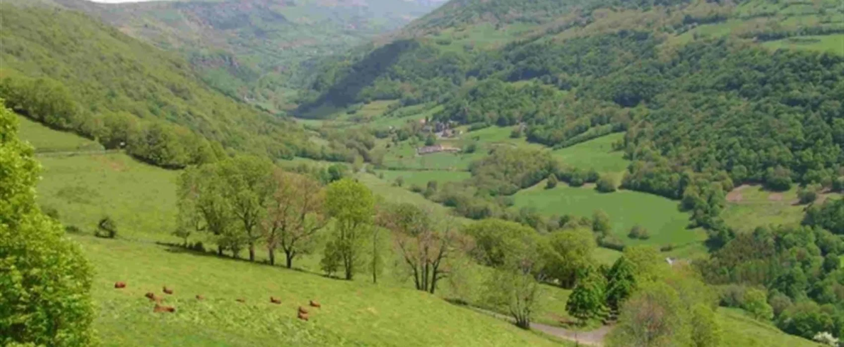 Camping Pont du Rouffet