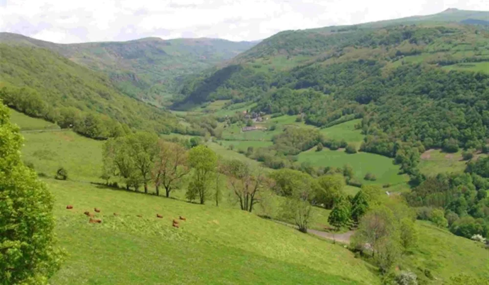 Camping Pont du Rouffet