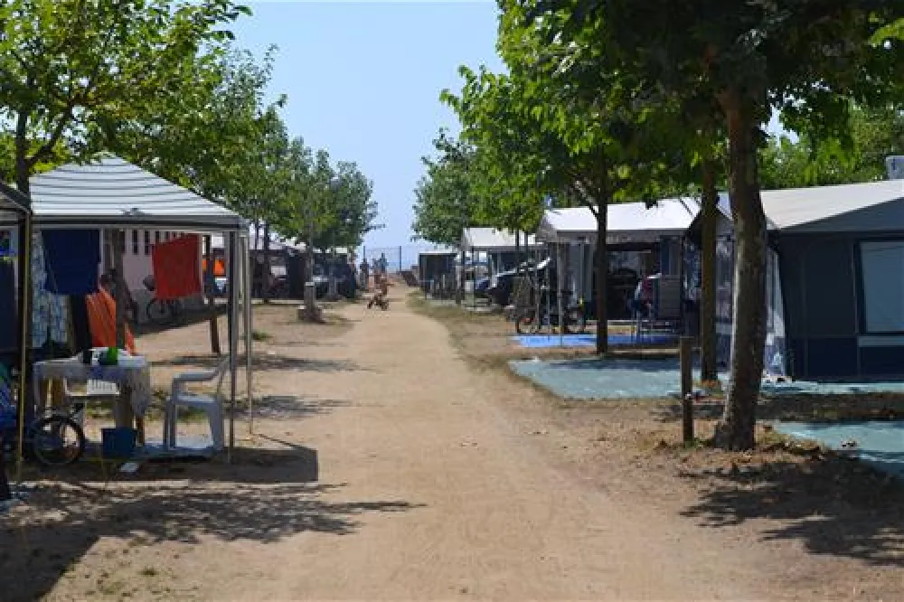 Camping el Pinar