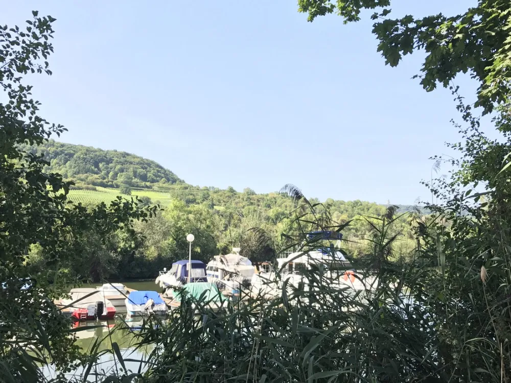 Camping Le Paquis  