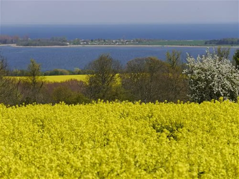 Ferien- und Campinganlage Schuldt GmbH