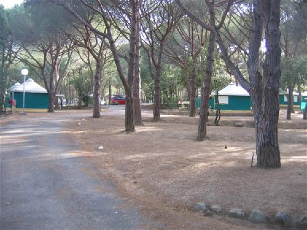 Camping Paduella  