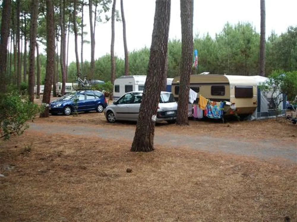 Camping Le Tedey  
