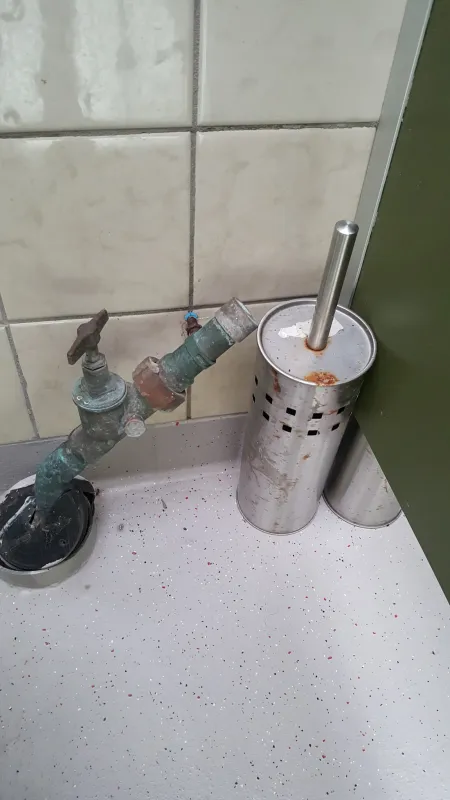 Camping Hoek van Holland