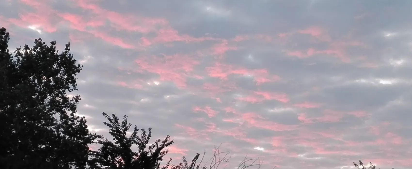 Camping Hoek van Holland