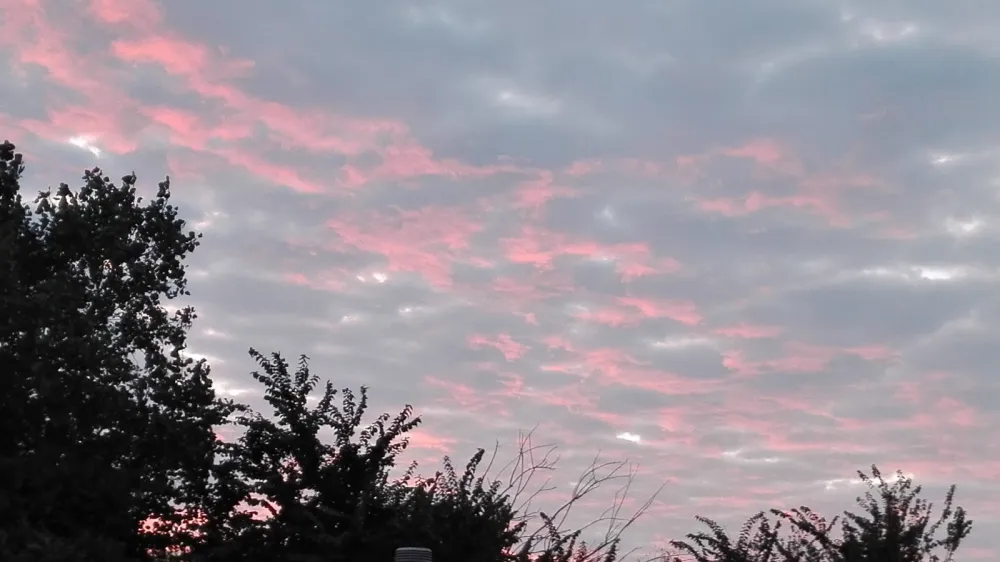 Camping Hoek van Holland