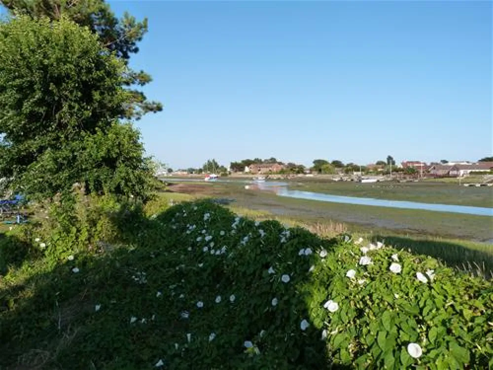 Fishery Creek Touring Park