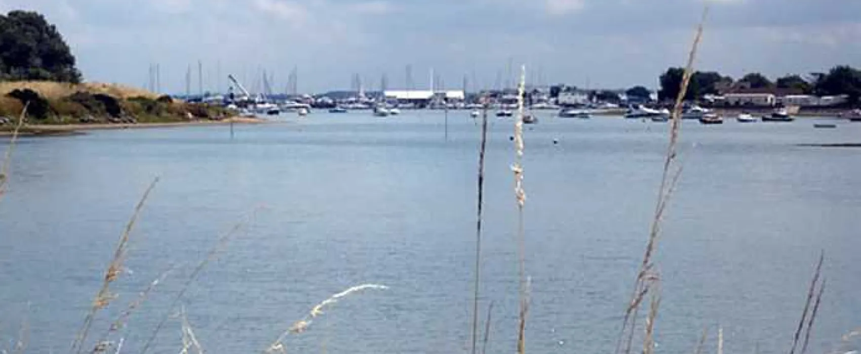 Fishery Creek Touring Park