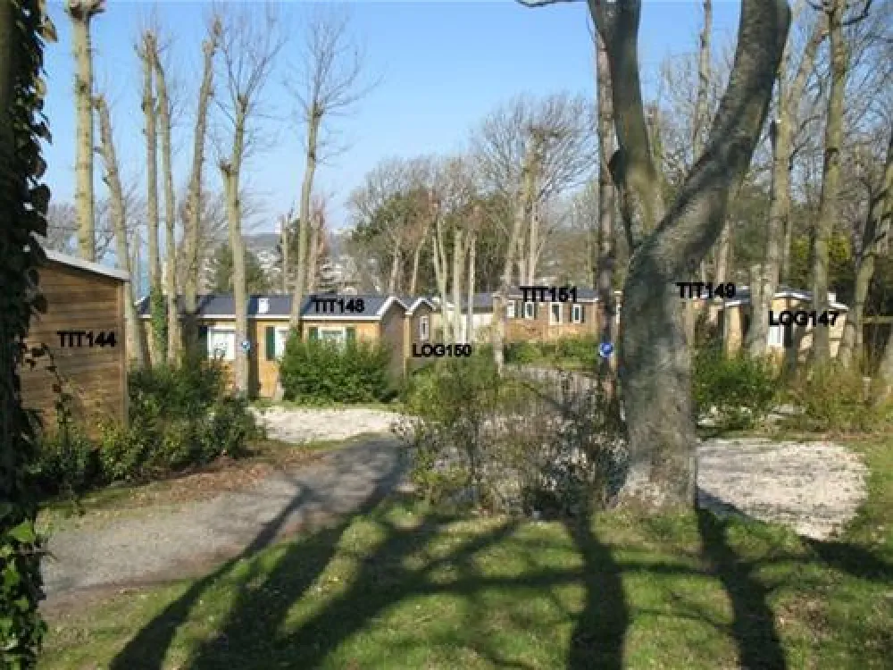 Flower Camping De Reneville