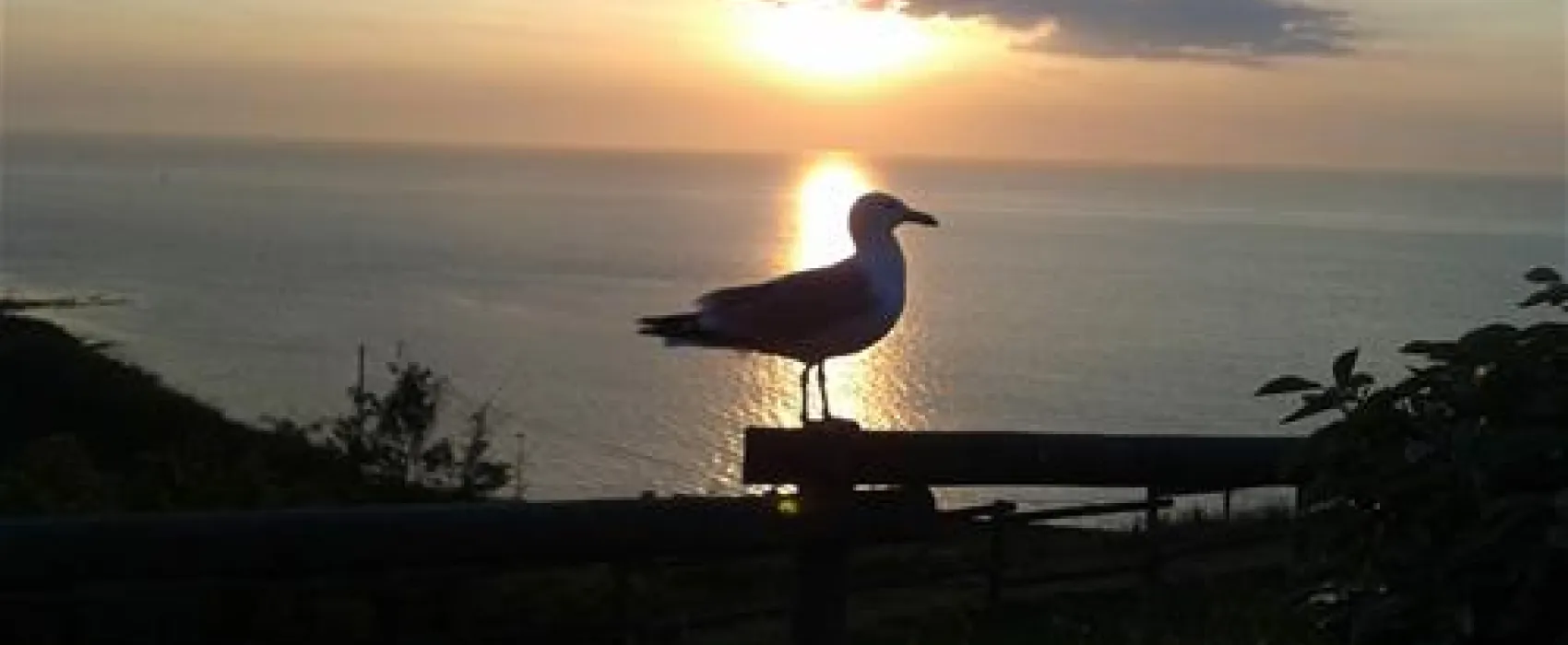 Flower Camping De Reneville