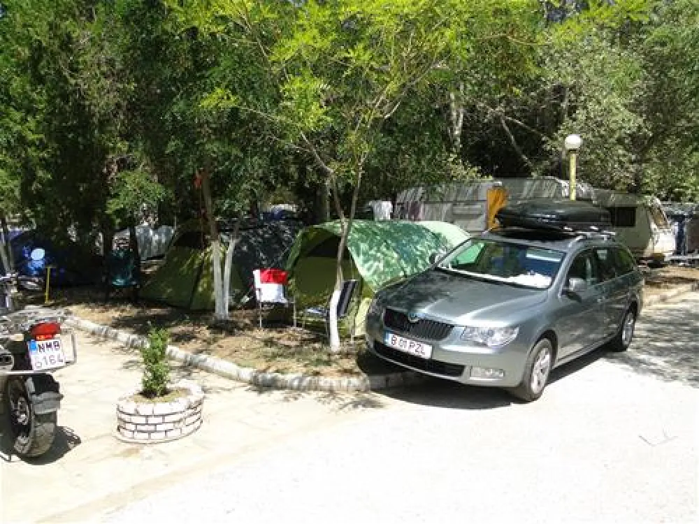 Campsite Golden Beach