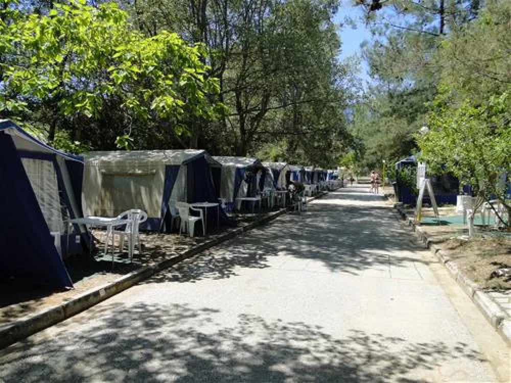 Campsite Golden Beach