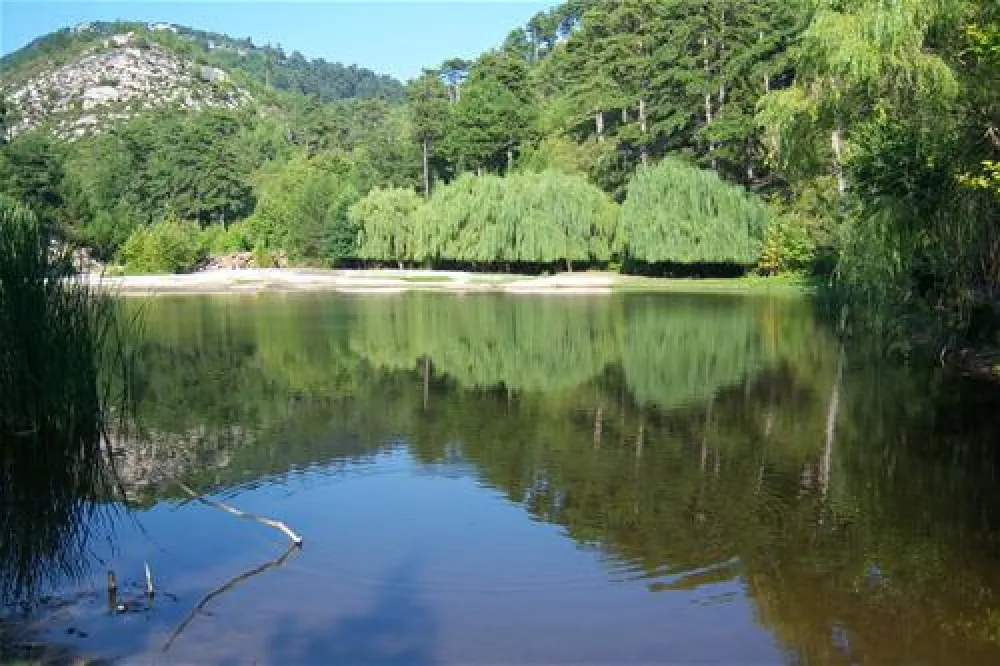 Campsite Golden Beach