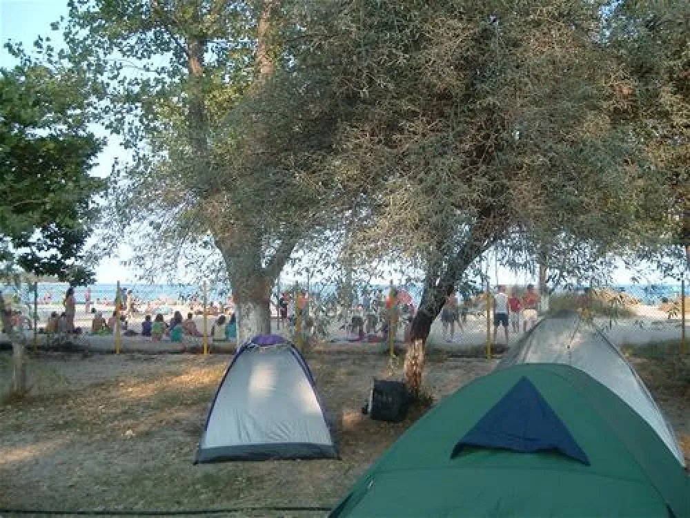 Campsite Golden Beach