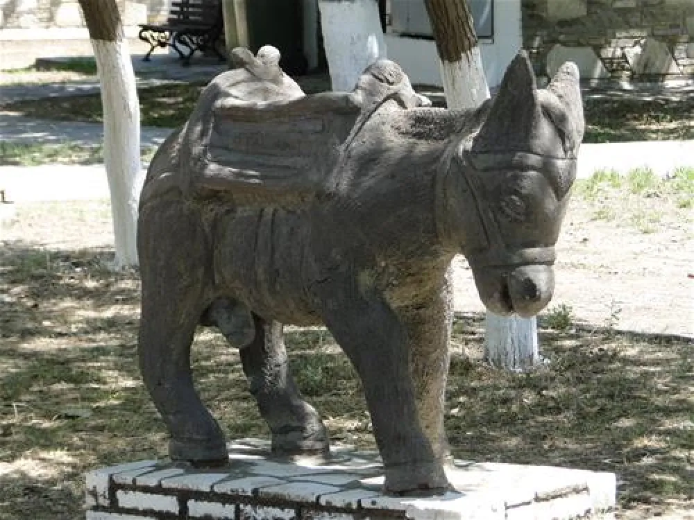 Campsite Golden Beach