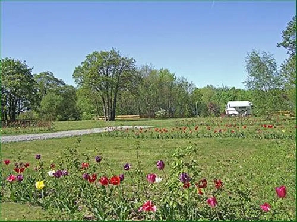 Kurcamping Harzer Feriengarten