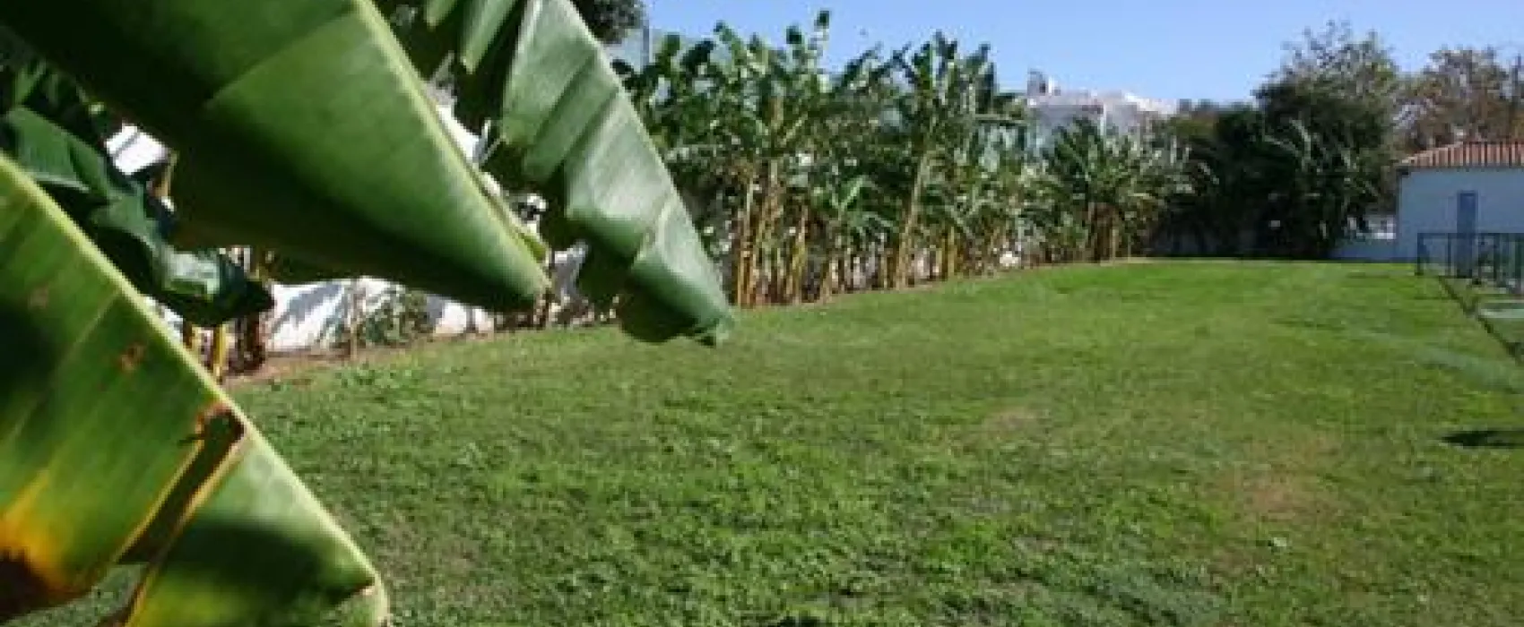 Camping Torre Del Mar