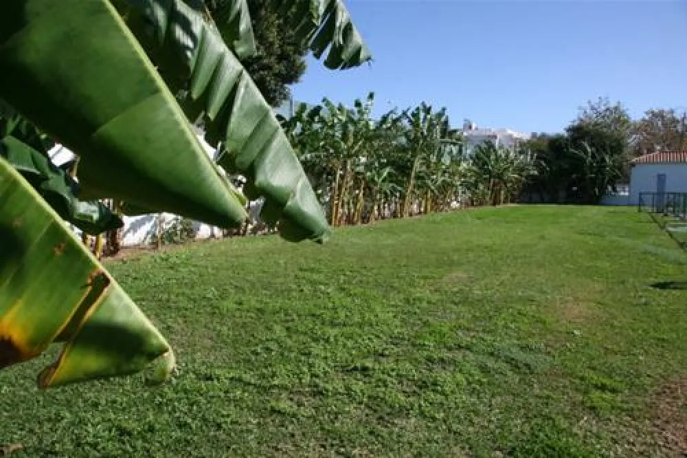 Camping Torre Del Mar