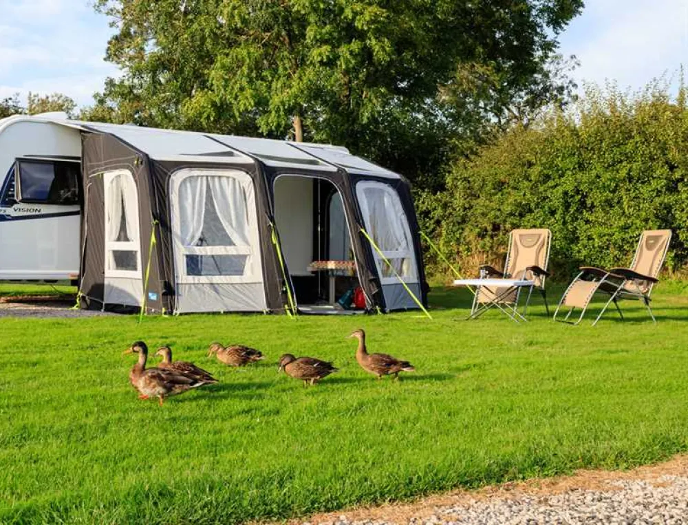 York Naburn Lock Caravan Park