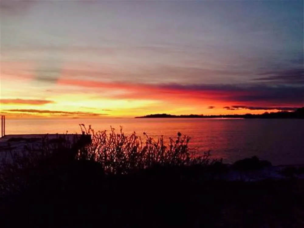 Naturcampingplatz Alt Reddevitz