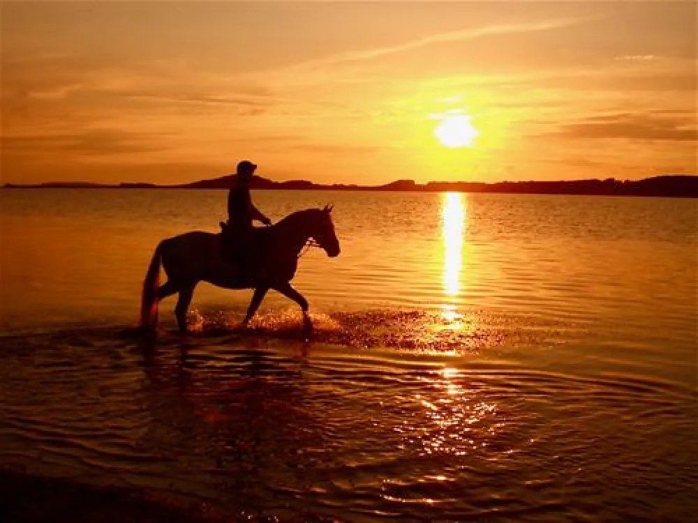 Naturcampingplatz Alt Reddevitz
