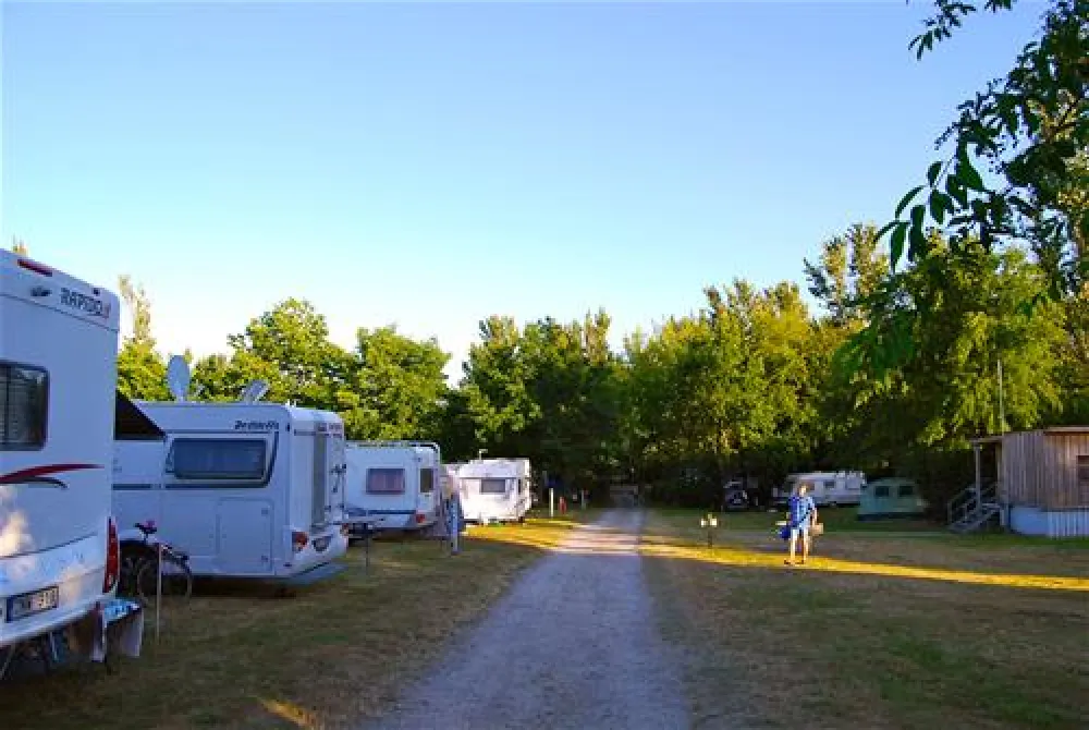 Naturcampingplatz Alt Reddevitz