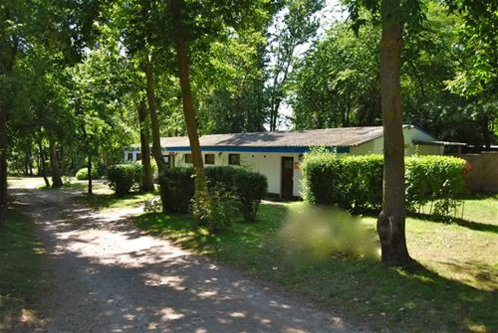 Naturcampingplatz Alt Reddevitz