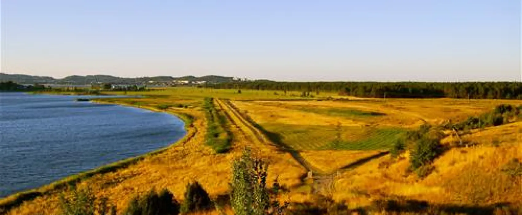 Naturcampingplatz Alt Reddevitz