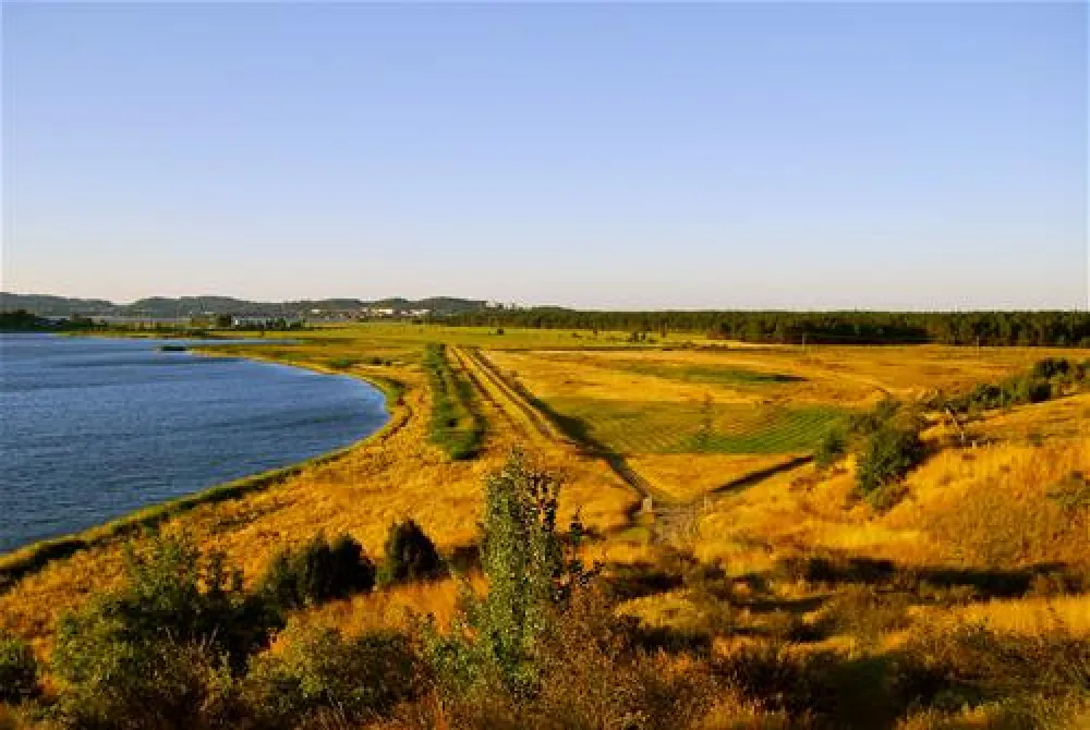 Naturcampingplatz Alt Reddevitz