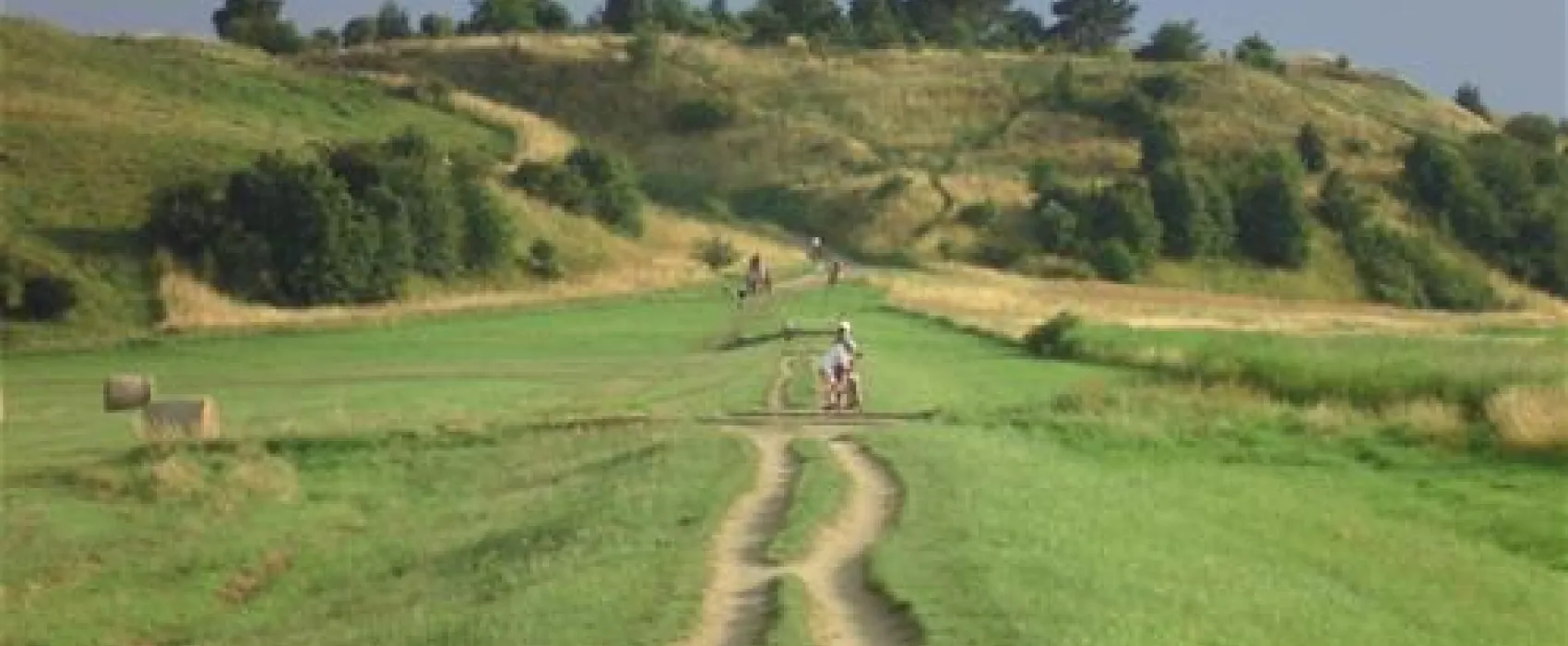 Naturcampingplatz Alt Reddevitz