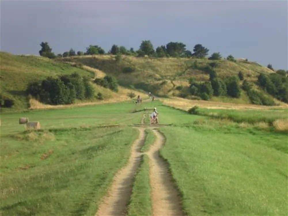 Naturcampingplatz Alt Reddevitz