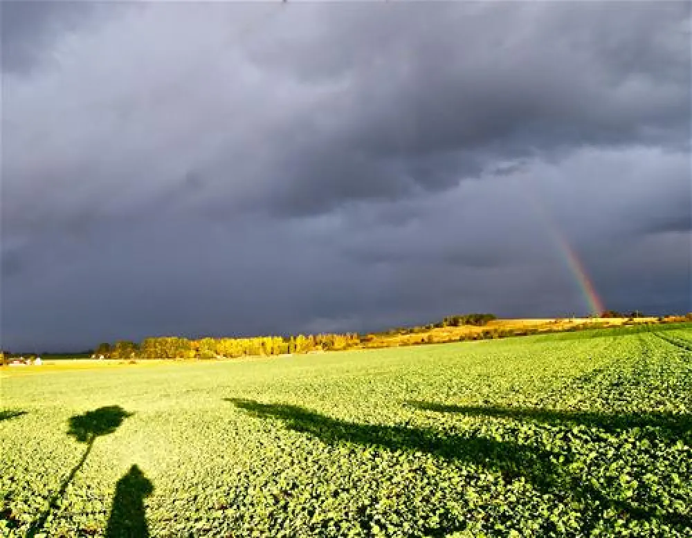 Naturcampingplatz Alt Reddevitz