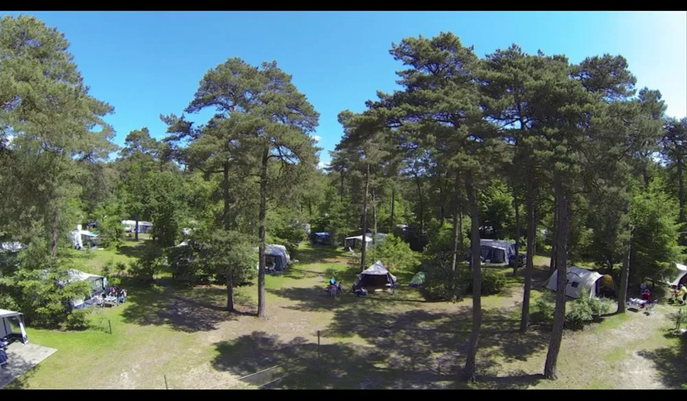 Camping Diever