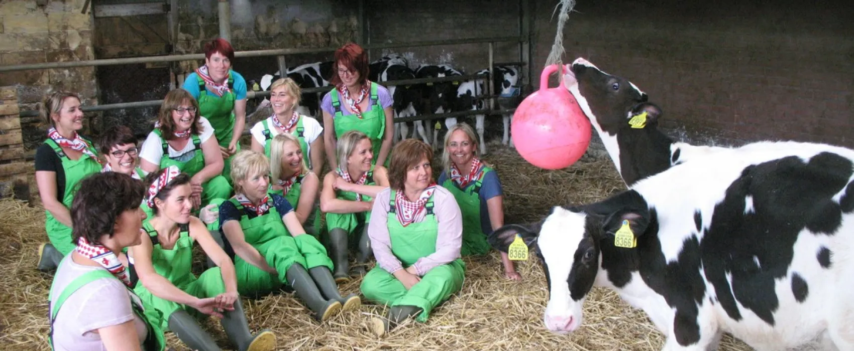 Waalheimer Farm Camping