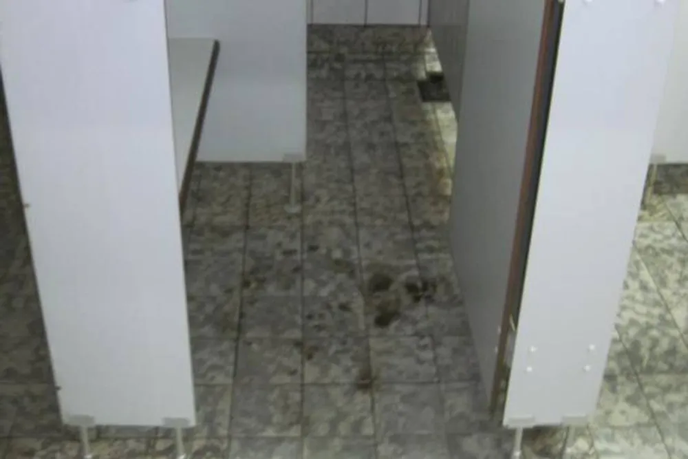 Camping München-Obermenzing