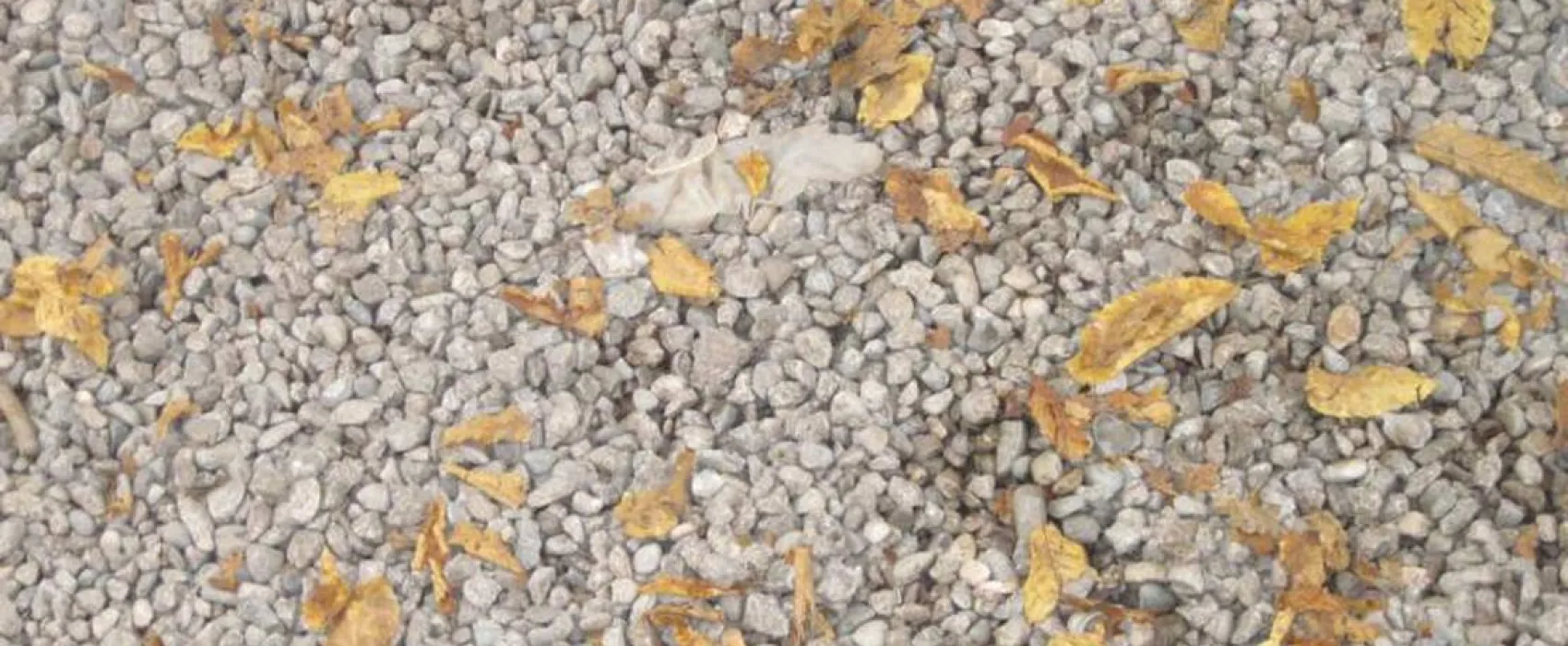 Camping München-Obermenzing