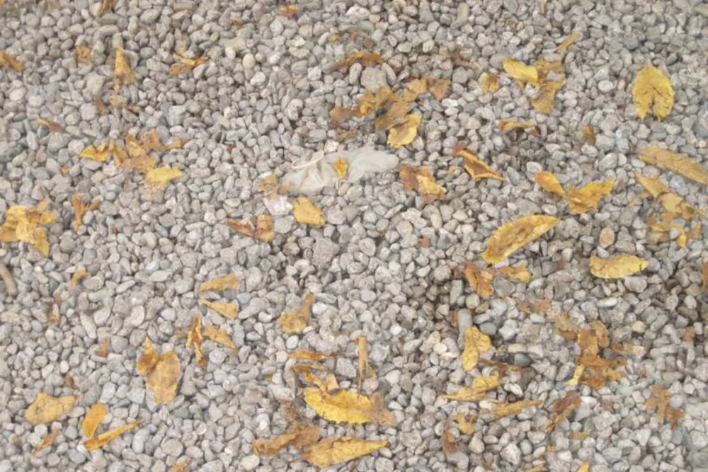 Camping München-Obermenzing